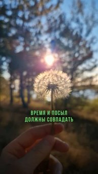 Больше подарков в моем канале, смотри в шапке профиля
