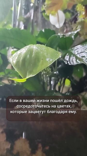 9 апреля 2025 г.