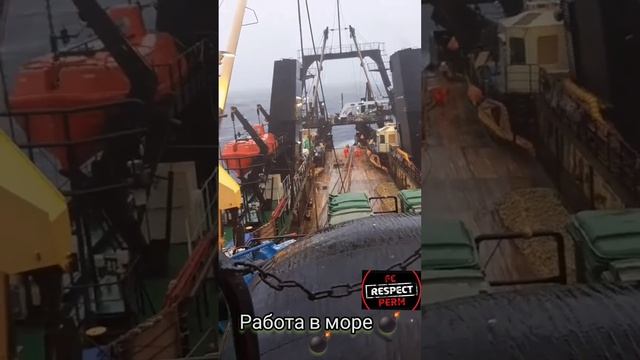 Приезжай  на моря