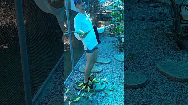 Вьетнам 🇻🇳 Нячанг. Экскурсия ДОЛЬЧЕ ВИТА .Влог
