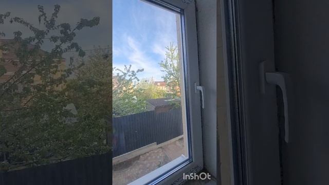 1000613122.mp4