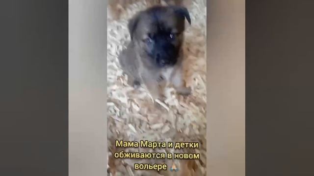 мама Марта передает спасибо