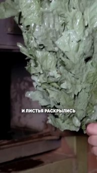 Как запаривать веники для русской бани? #веник #банный?