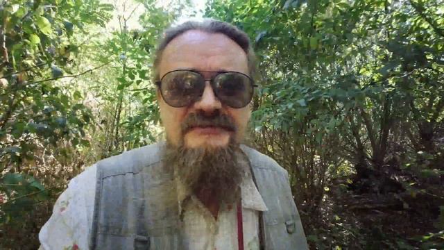 0018 Три объявления для подписчиков канала