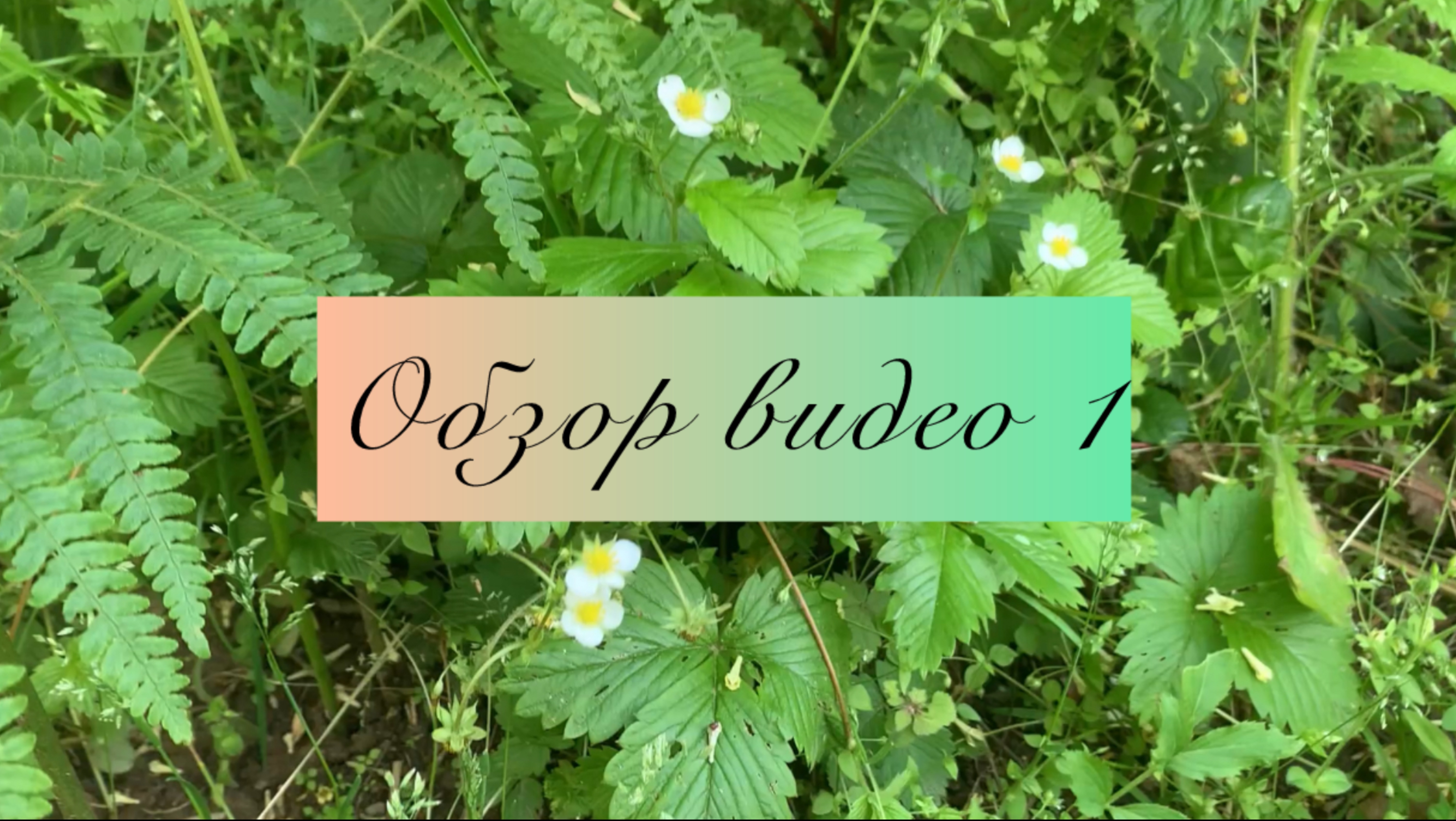 Обзорное видео 1 сад и огород онлайн Евгения