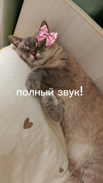 берите кому надо😊
