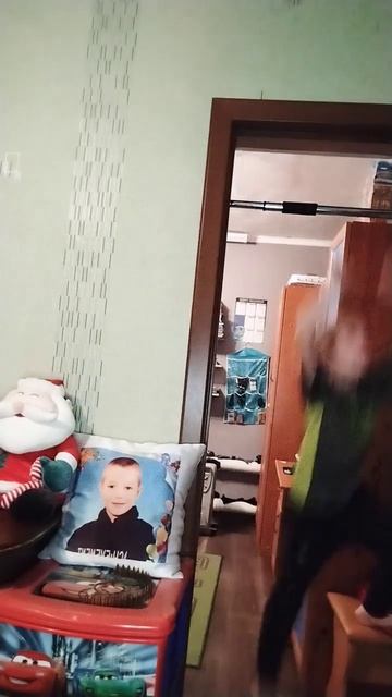 пальма клумба 1 сезон