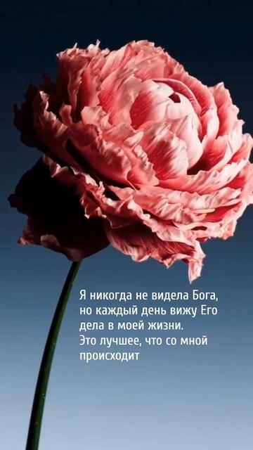 Все поняли