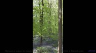 Ветер, звёзды и мелодия, которая сводит с ума... - Green -- Kirk Osamayo -- Season Two (BLUE)