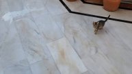 Турция. Плюсы и минусы отеля Club Hotel Sera