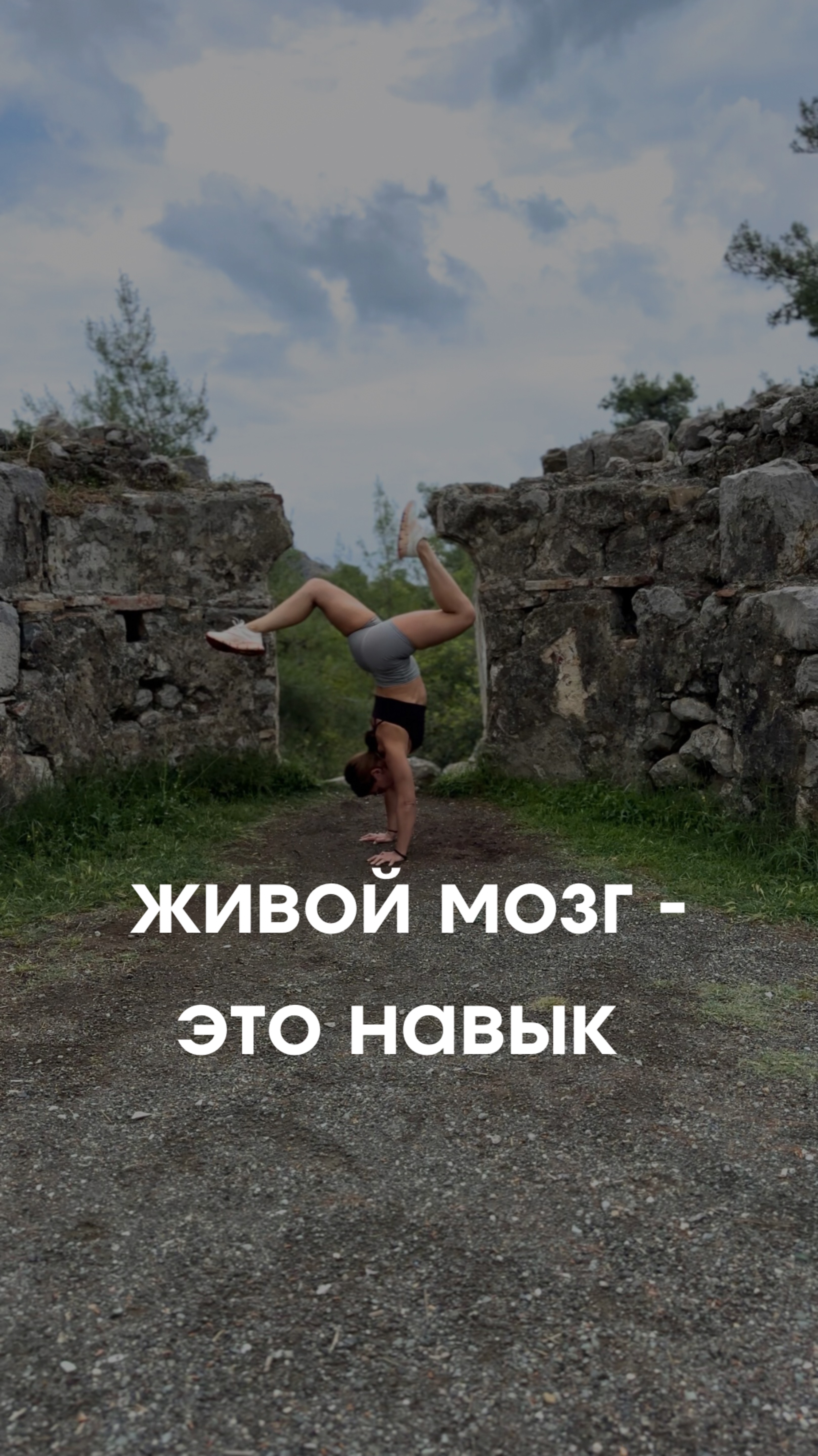 «Живой» мозг — это навык.