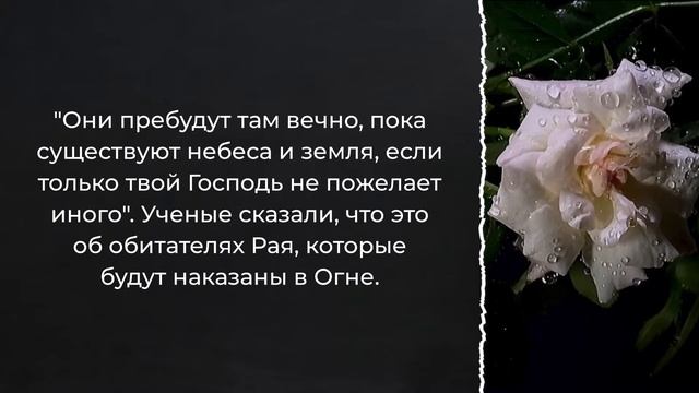Как объединить некоторые аяты об Аде? / Шейх аль-Фаузан / Шарх ас-Сунна (134)