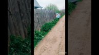 Огородный вложик. Началась огородная пора.