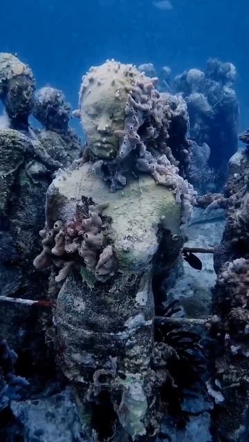 Подводный музей Карибское море.