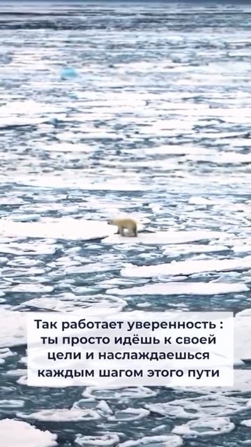 Мотивация для достижения мечт 💭✨