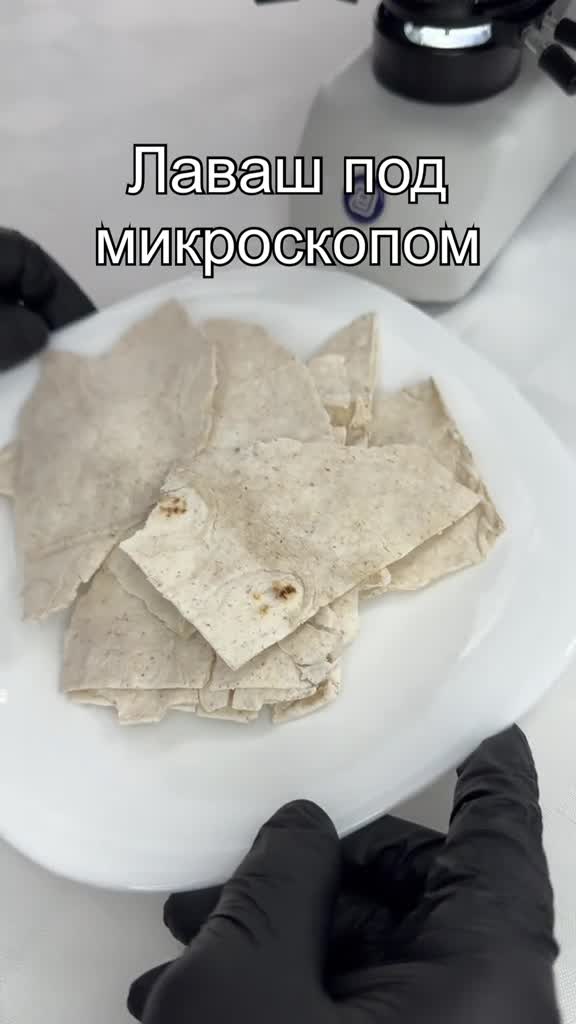 #микроскоп #микромир #интересно #подмикроскопом #наука