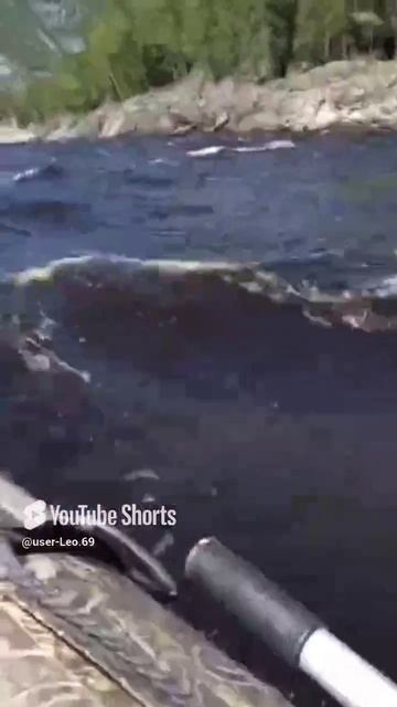 по диким местам