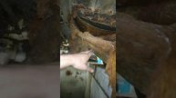 Кузов восьмёрки под восстановление