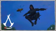 Жалю как оса. Готовлюсь к спидрану. / Ч.3 / Assassin's Creed Shadows