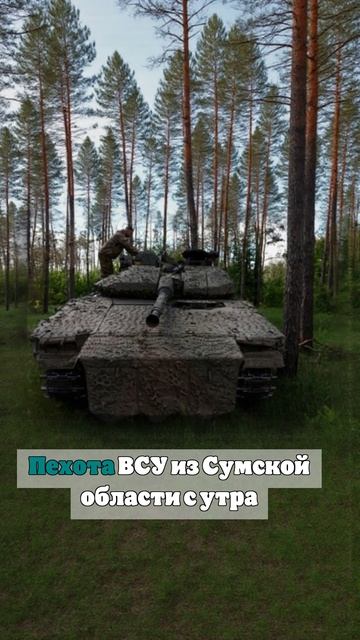 «РВ»: ВСУ снова пытаются прорваться в Россию