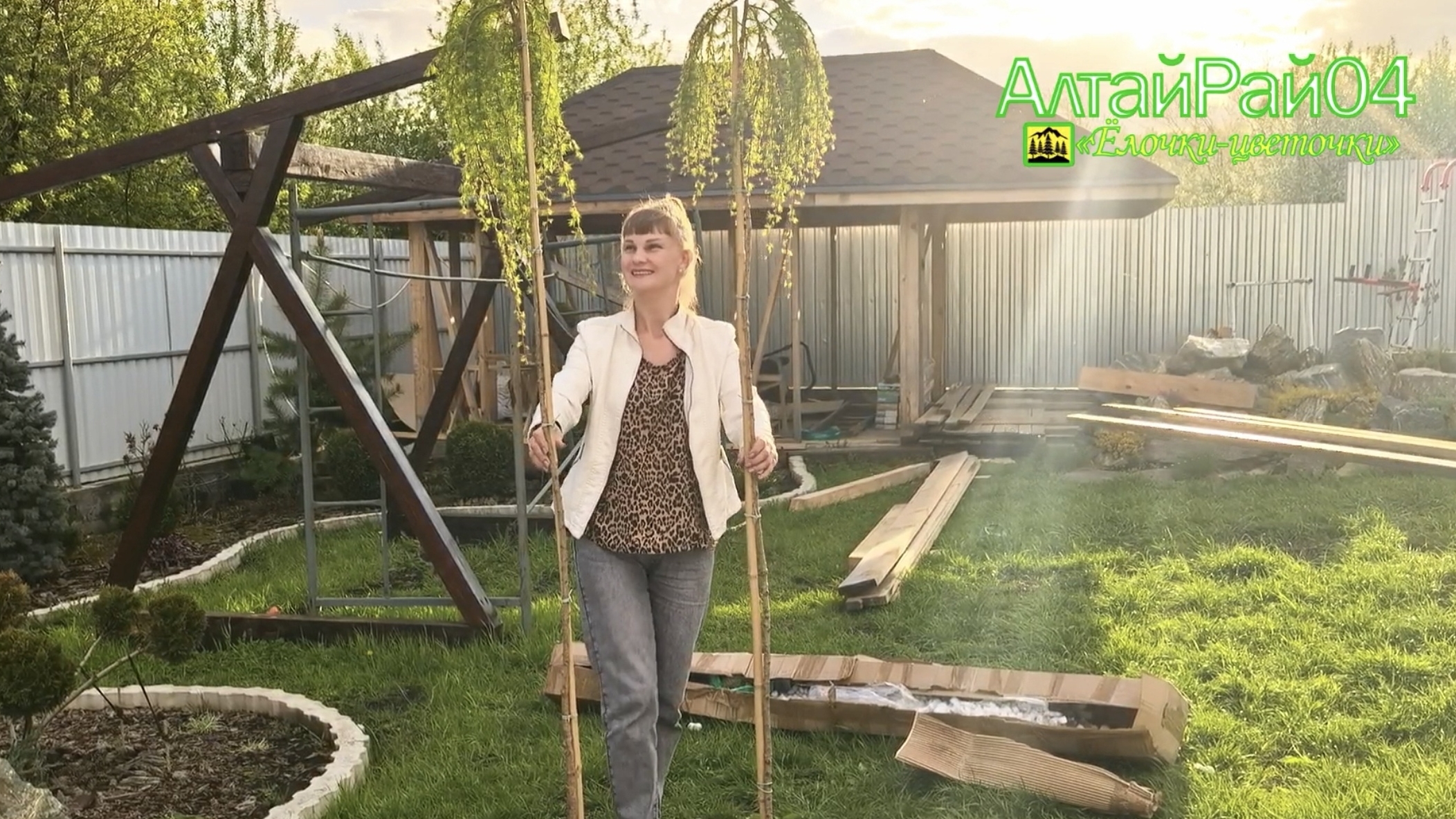 Лиственницы на штамбе уже здесь, забираем с ТК! 🌳✨