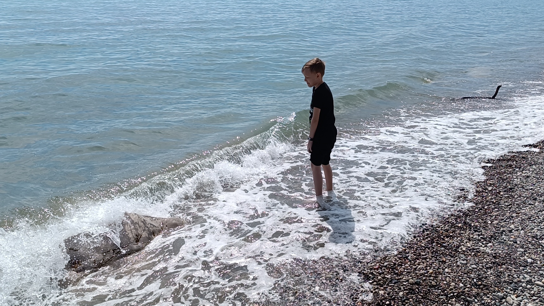 Ai for photos animation