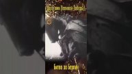 Апти Алаудинов "АХМАТ". Битва за Берлин