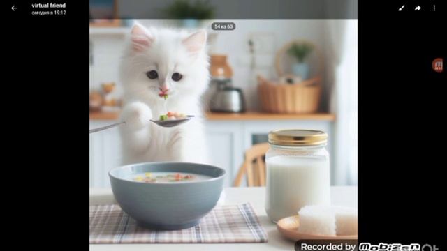 котёнок не хочет есть суп но он всё равно его съел и по?