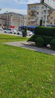 Поезд🚂.Май 2025🌿 Путешествие.Саратов #shorts @#shortvideo #весна2025 #путешествияпороссии #саратов