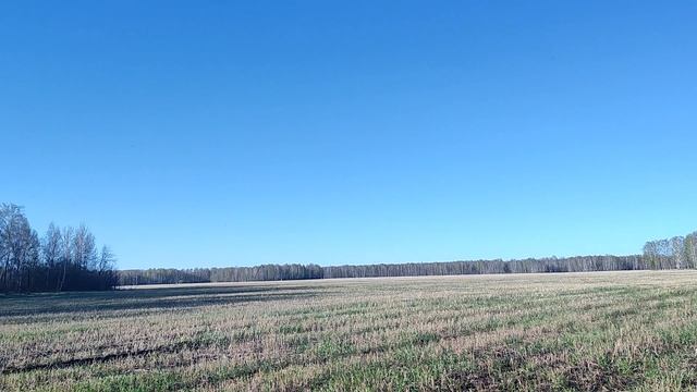 1000260318.mp4
