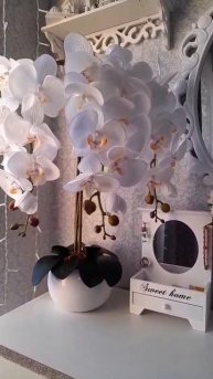 моя новая орхидея🌸🌸🌸Создает уют в спальне 🤗Выгля?