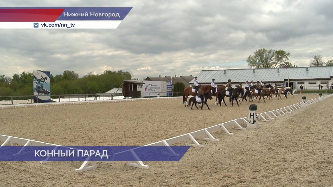 Региональные соревнования по выездке прошли в конноспортивном комплексе «Пассаж»