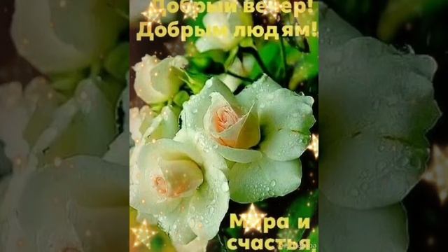 Добрый вечер ♥️Пусть этот вечер будет прекрасным😍♥️