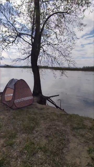 На рыбалке...