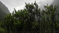 Мелодия, которая пробудит ваши самые глубокие желания! - Wide Open Spaces -- HoliznaCC0 -- Washed Up