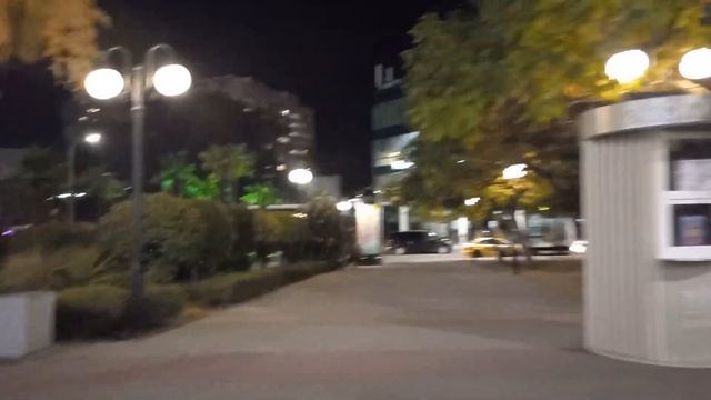дамы, господа, обзорная прогулка по городу Сочи, ночное видео 2023 года.