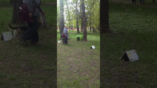 Тренировка RO1 Клёпа 08.05.2025