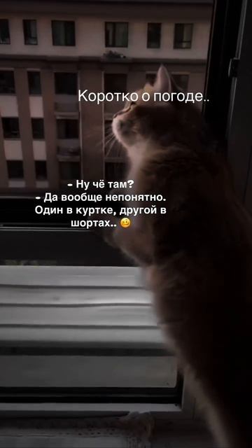 Че там?
