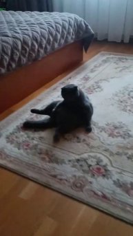 надо много кушать надо много спать