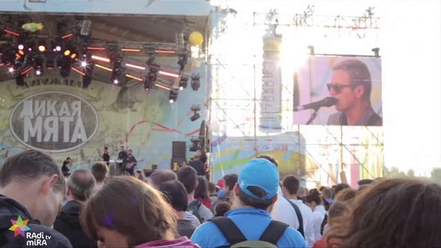 ДИКАЯ МЯТА 2014