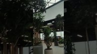 в мире столько красивое место есть