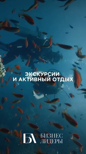 📢 Бизнес-тур в Египет с 19 по 27 мая!🌴