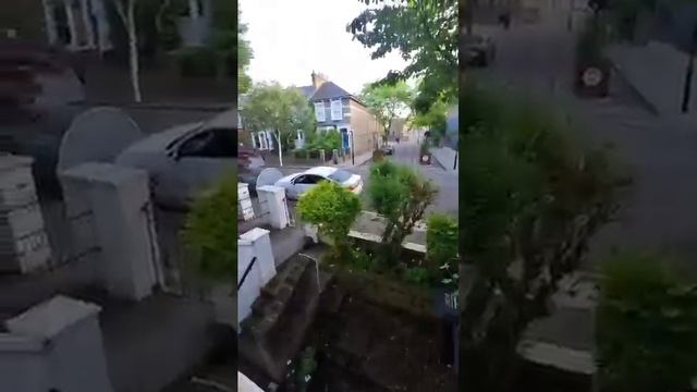 Тайная жизнь кошки попала на камеру