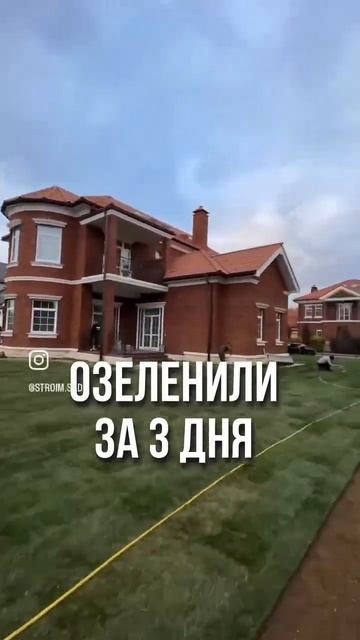 Уложили рулонный газон за 3 дня🫣😍 #газон #ландшафт #к?
