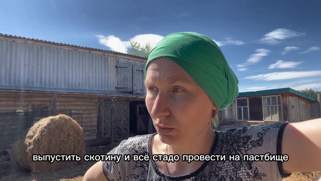 Много клещей, жизнь в деревне, первый заработок на ферме, отпуск, городские лодыри в деревне