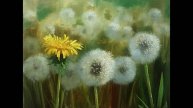 Одуванчики .Живопись маслом