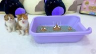 Лайк Настя и Стейси ведут себя совершенно по разному