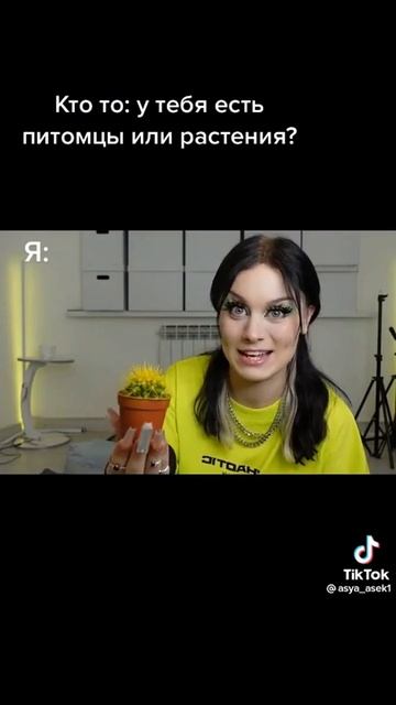 #кактус #мем