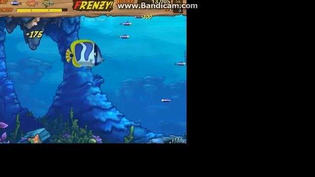Feeding Frenzy #2 (Бонус лэвл)