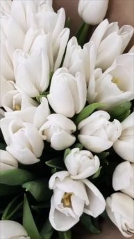 #цветы #красотадуши #8марта #праздник #влог #красиво #ма?